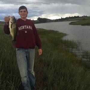 Meet your Posher, Dillon